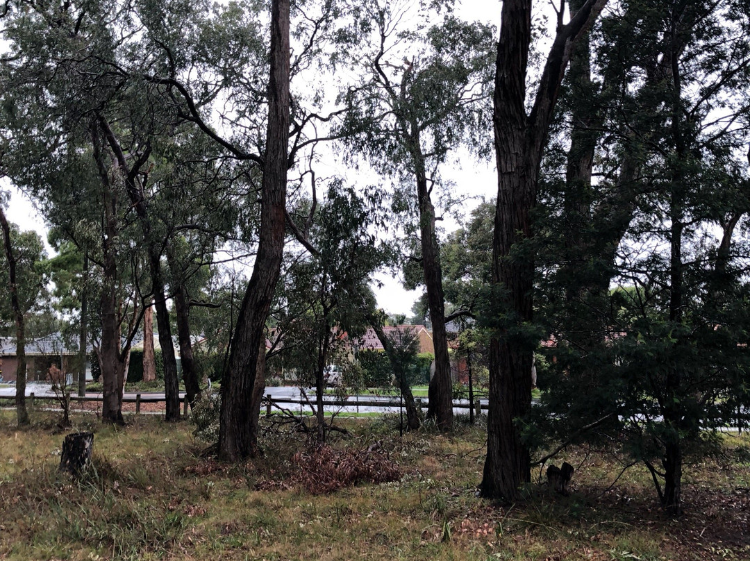 R.D. Egan Lee Reserve景点图片