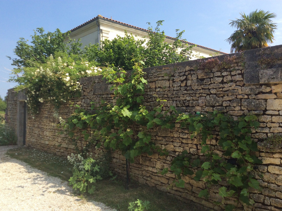 La Bonotière Chambres d'Hôtes主图