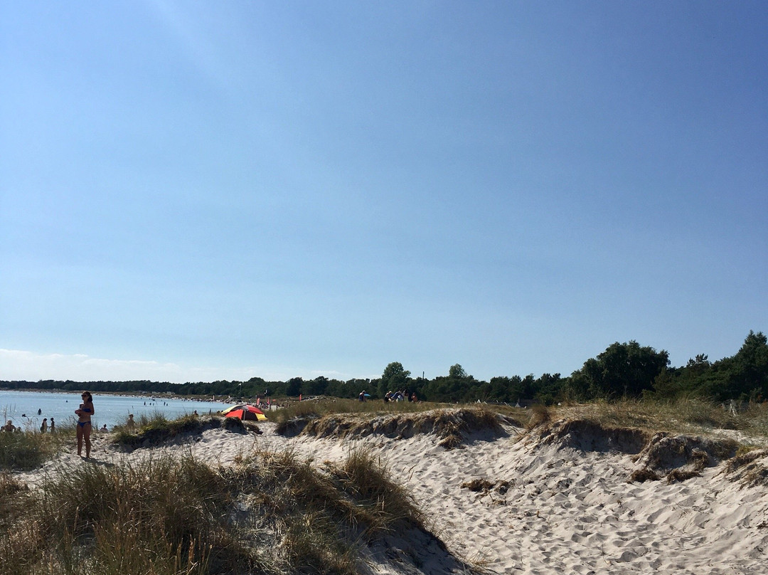 Kampingestranden景点图片