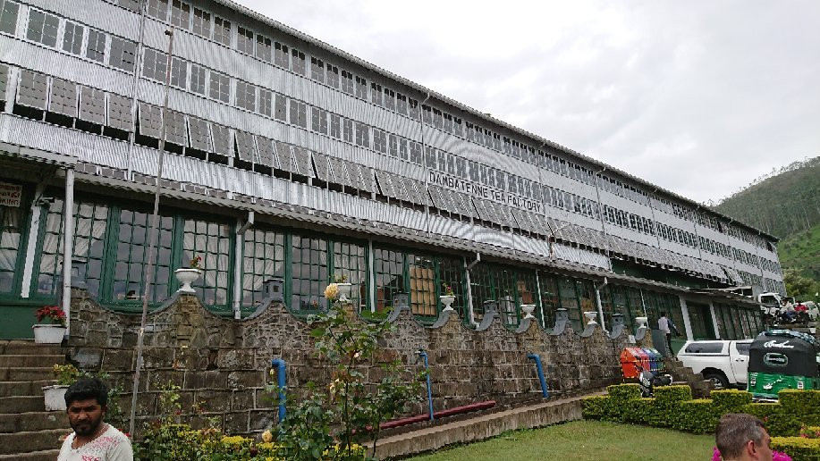 Ella Tours-埃勒必去景点