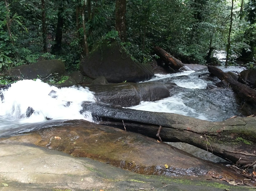 Chutes de Fourgassier景点图片
