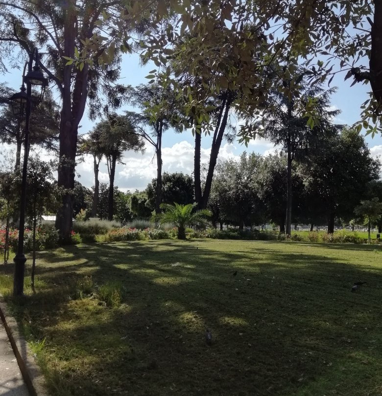 Parco Pozzi景点图片