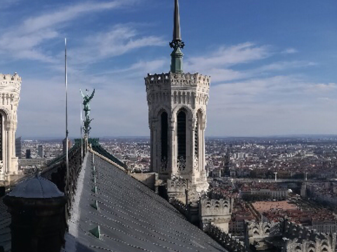 Lyon Insolite景点图片