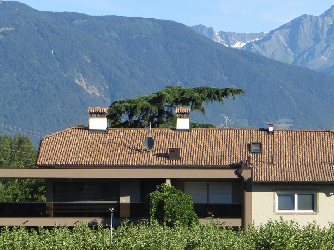 Pension Sunnhofer主图