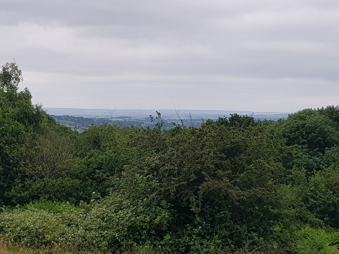 Shotover Country Park景点图片