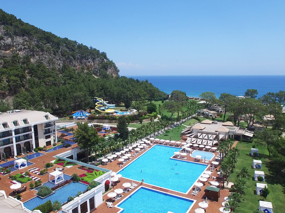 Juju Premier Palace主图