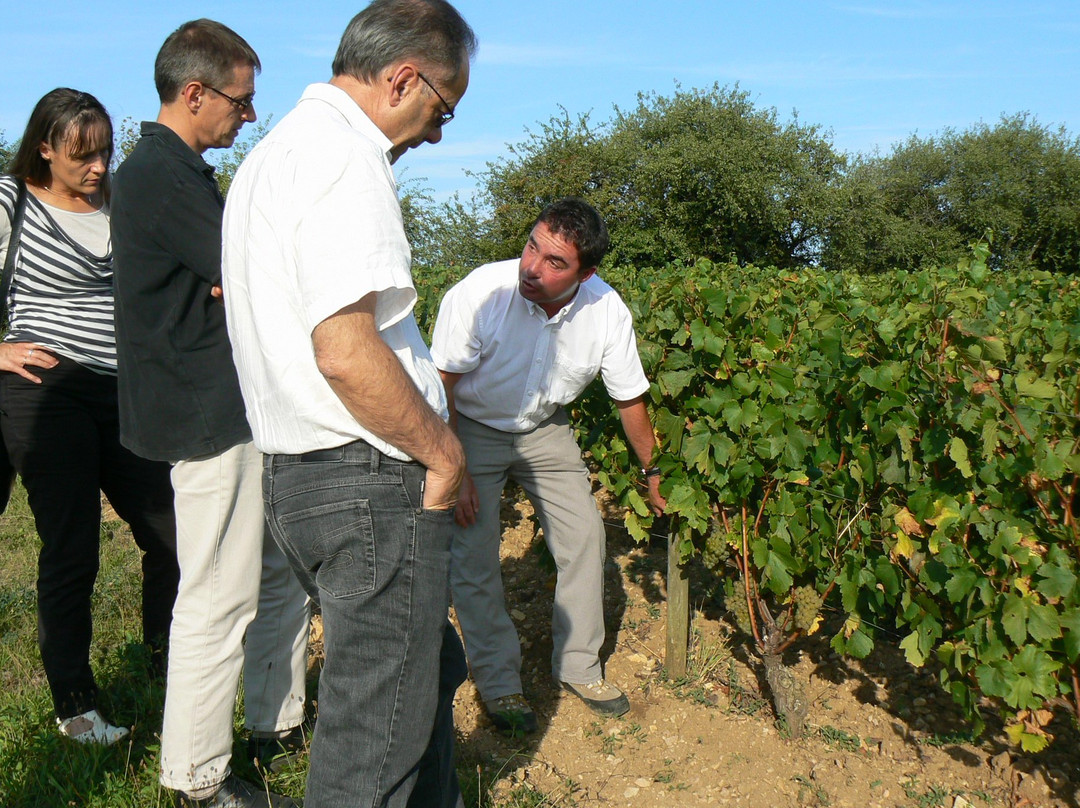 L'Atelier de la Vigne et du Vin景点图片
