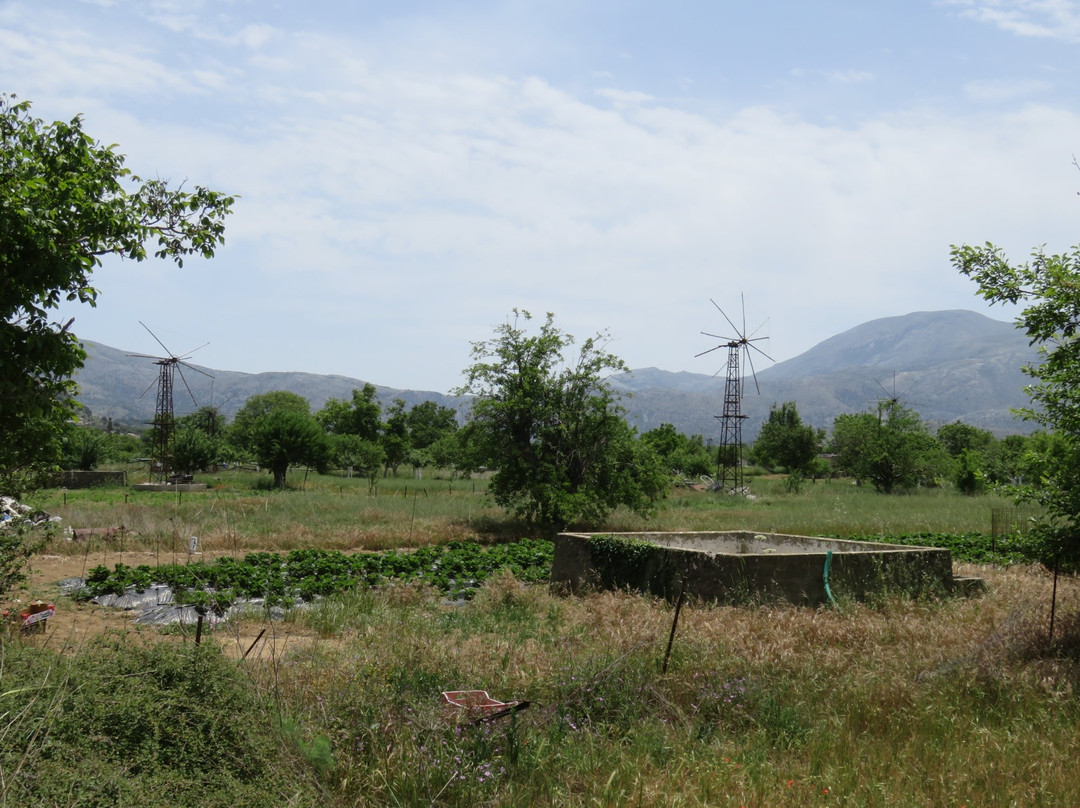 Windmills Of Lasithi Plateau景点图片