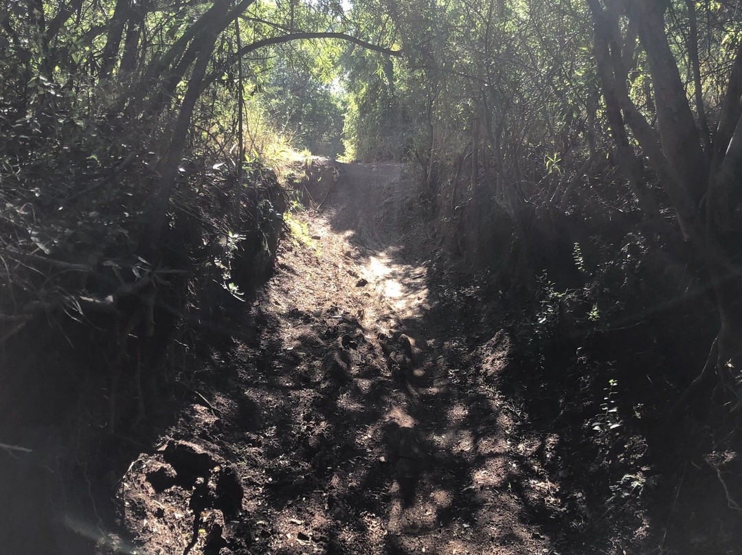 Buffelsdrift MTB Park-比勒陀利亚必去景点