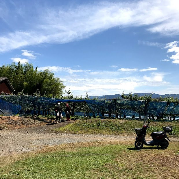 Hitatoribaru Orchards-日田市必去景点