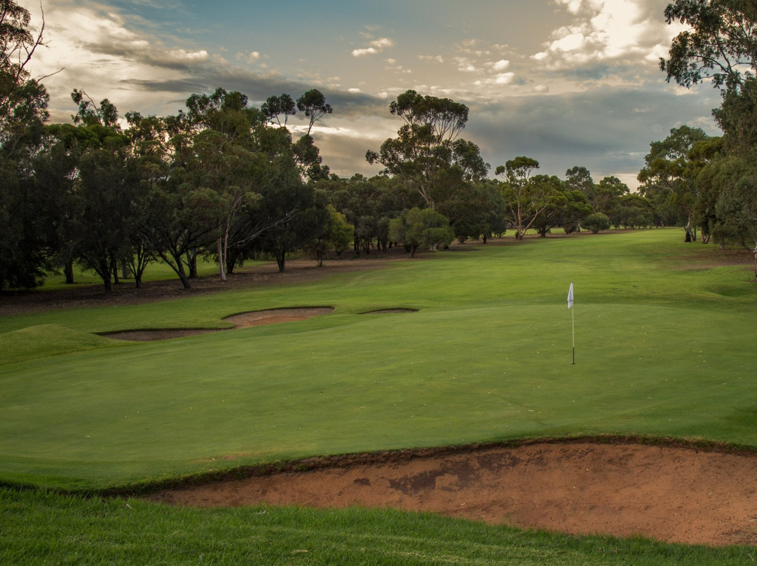 2023年11月Murray Bridge Golf Club景点攻略Murray Bridge Golf Club门票预订地址图片 2023年11月Murray Bridge Golf Club景点攻略Murray Bridge Golf Club门票预订地址图片