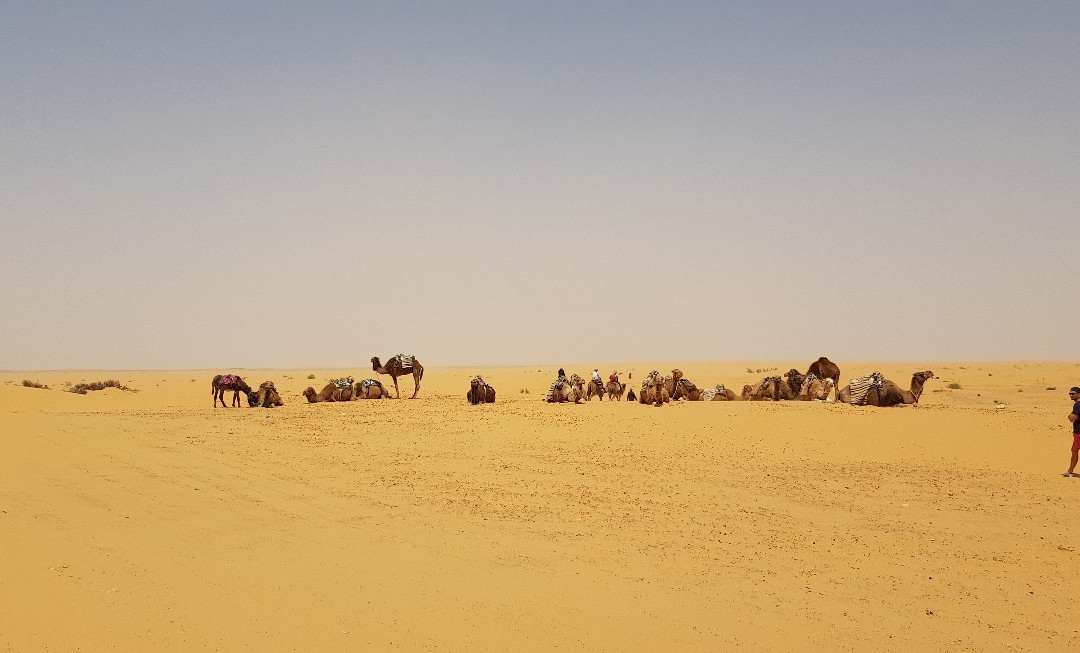 Circuit 4x4 La Saharienne-米栋必去景点