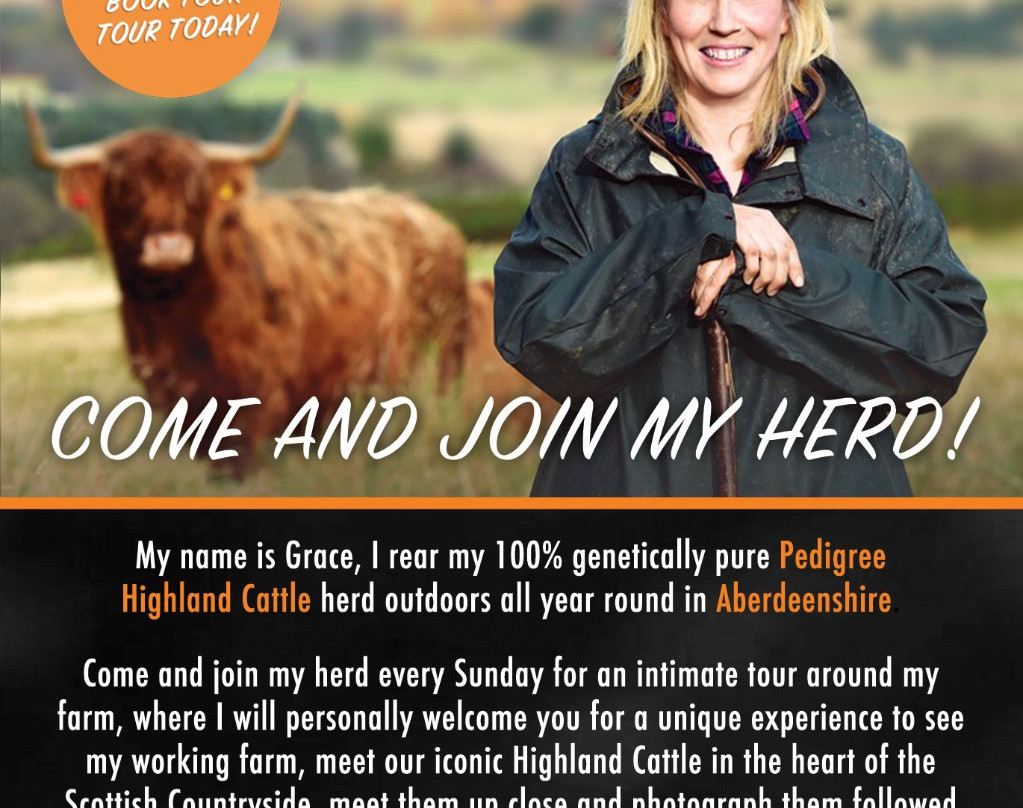 Aberdeenshire Highland Beef-Lochton of Leys必去景点