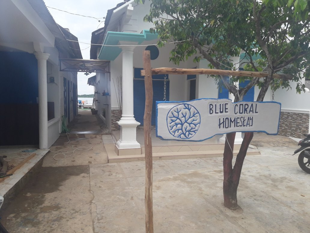 Blue Coral Homestay主图