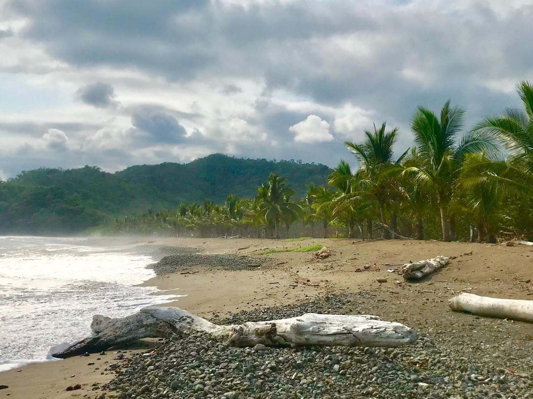 Playa Corozalito景点图片