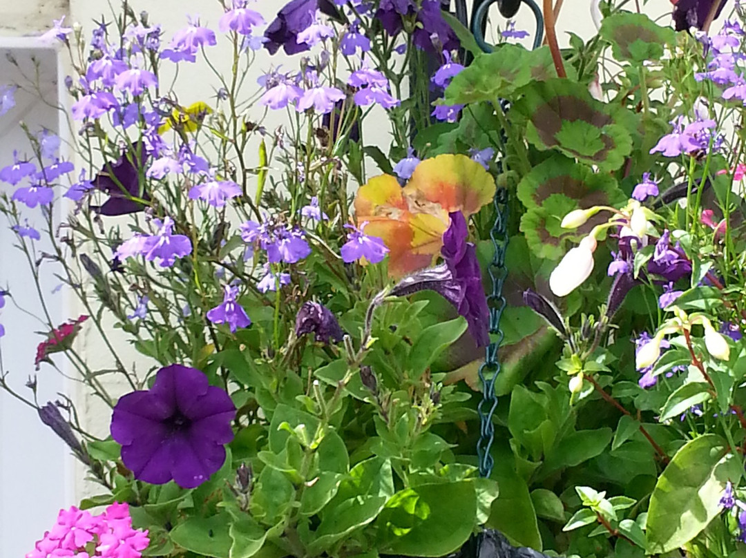 Broomfield House Bed & Breakfast主图