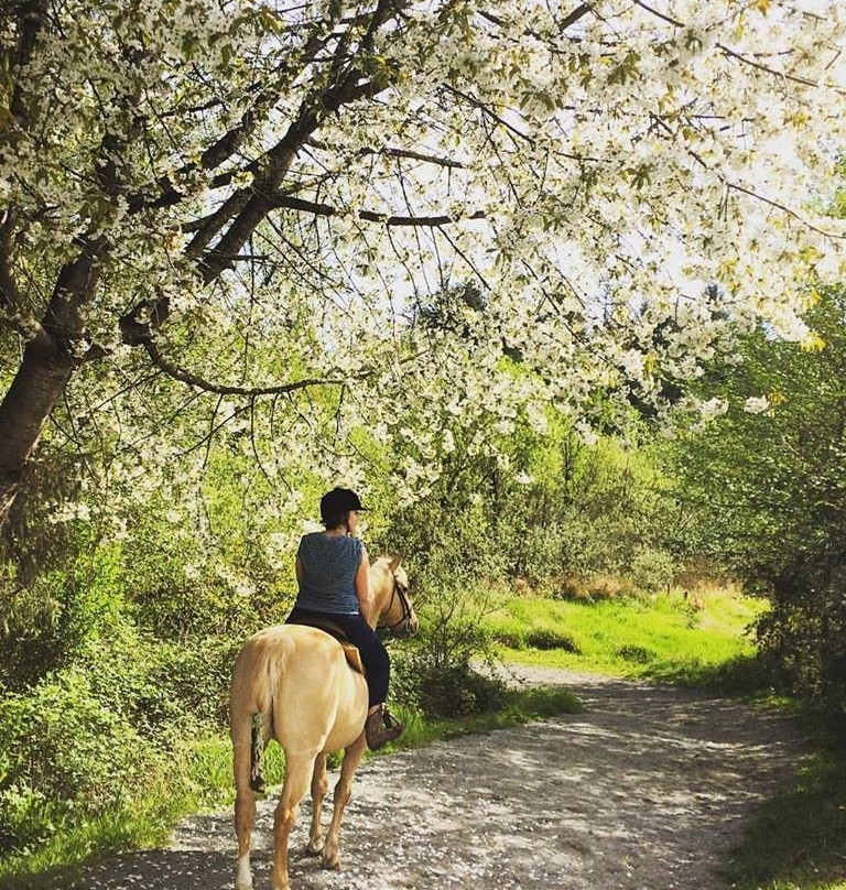 Langley 204 Horseback Riding-兰里市必去景点