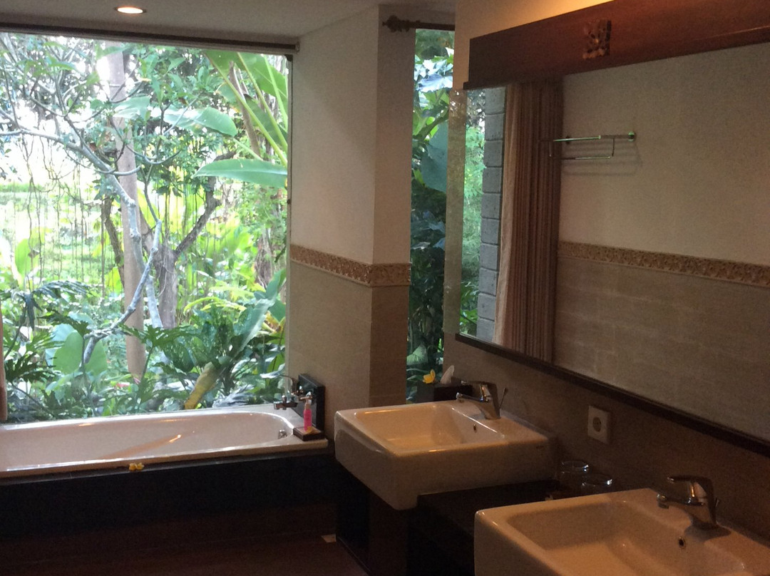 科里乌布度假村主图