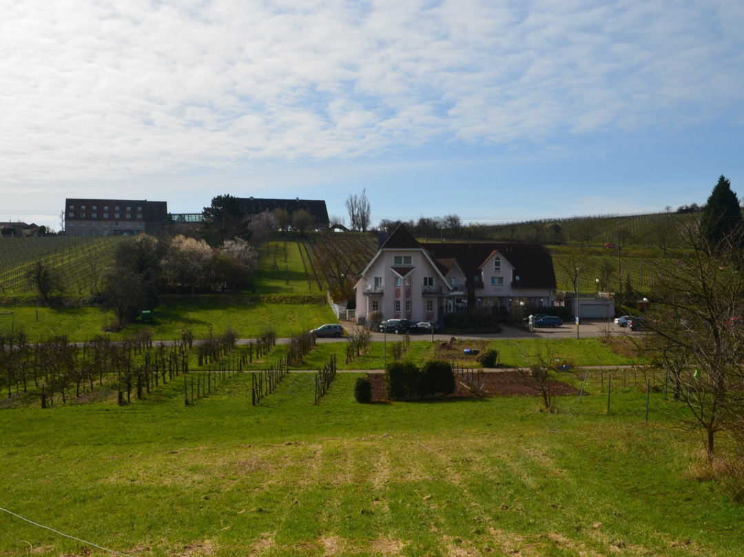 Hotel und Restaurant Castell主图