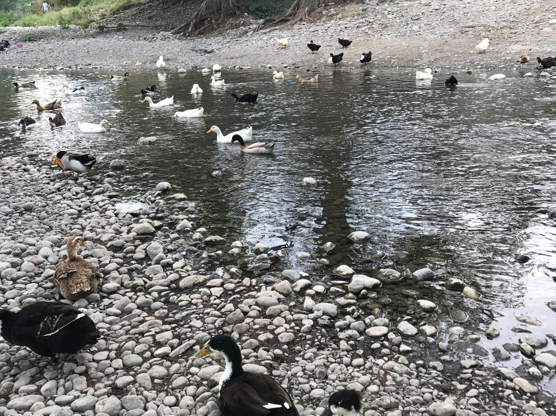 Paseo Rio La Silla Unidad Unac Parque Pipo景点图片