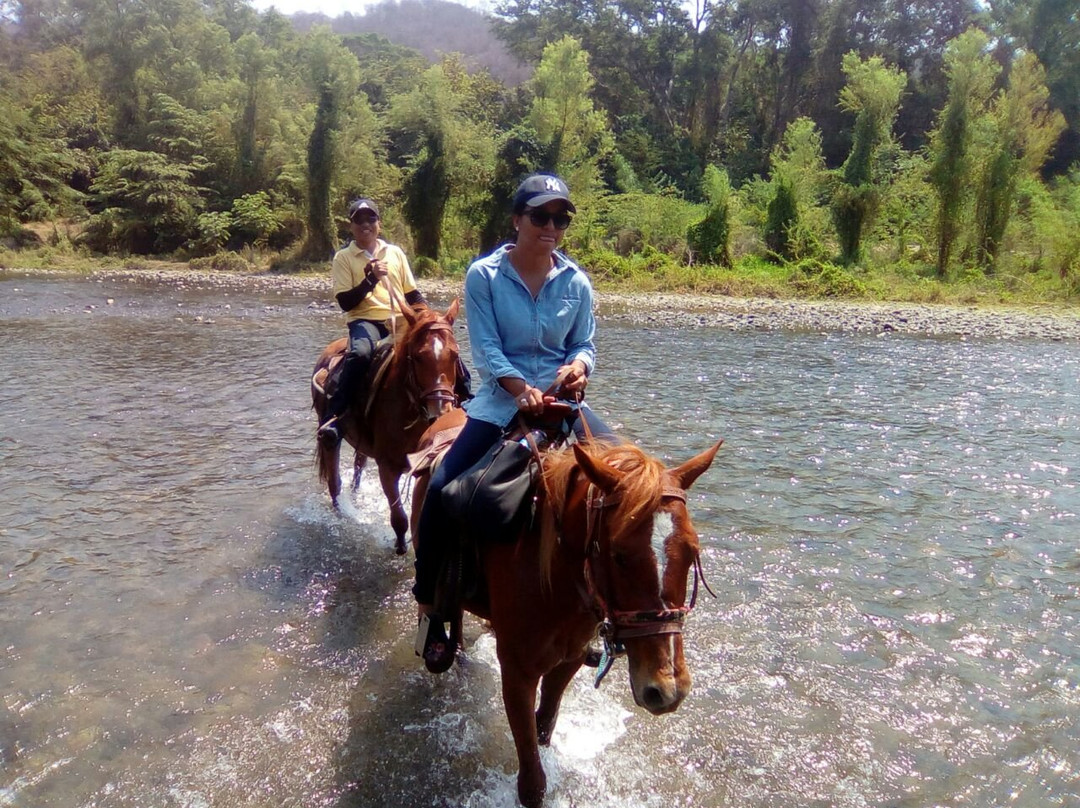 Horses Rancho Caballo De Mar景点图片