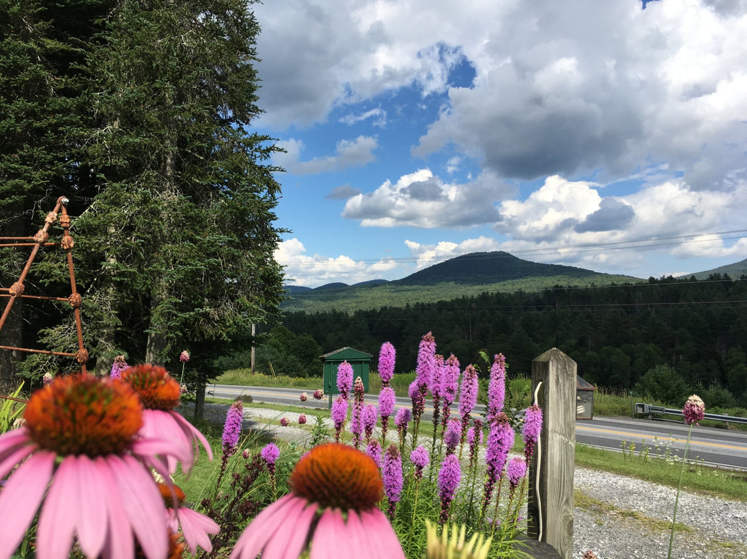 Marshfield Inn & Motel主图