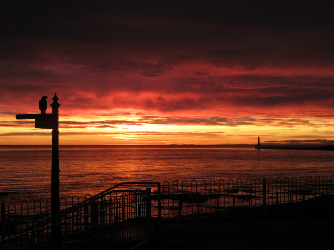 Mayfield Hotel主图