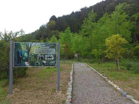 More Trees no Mori Morotsuka