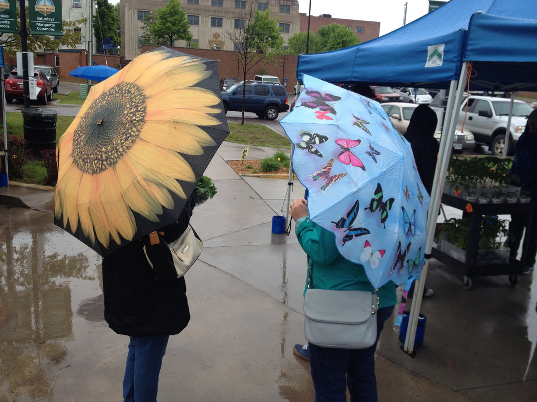 Downtown Marquette Farmers Market-Marquette必去景点