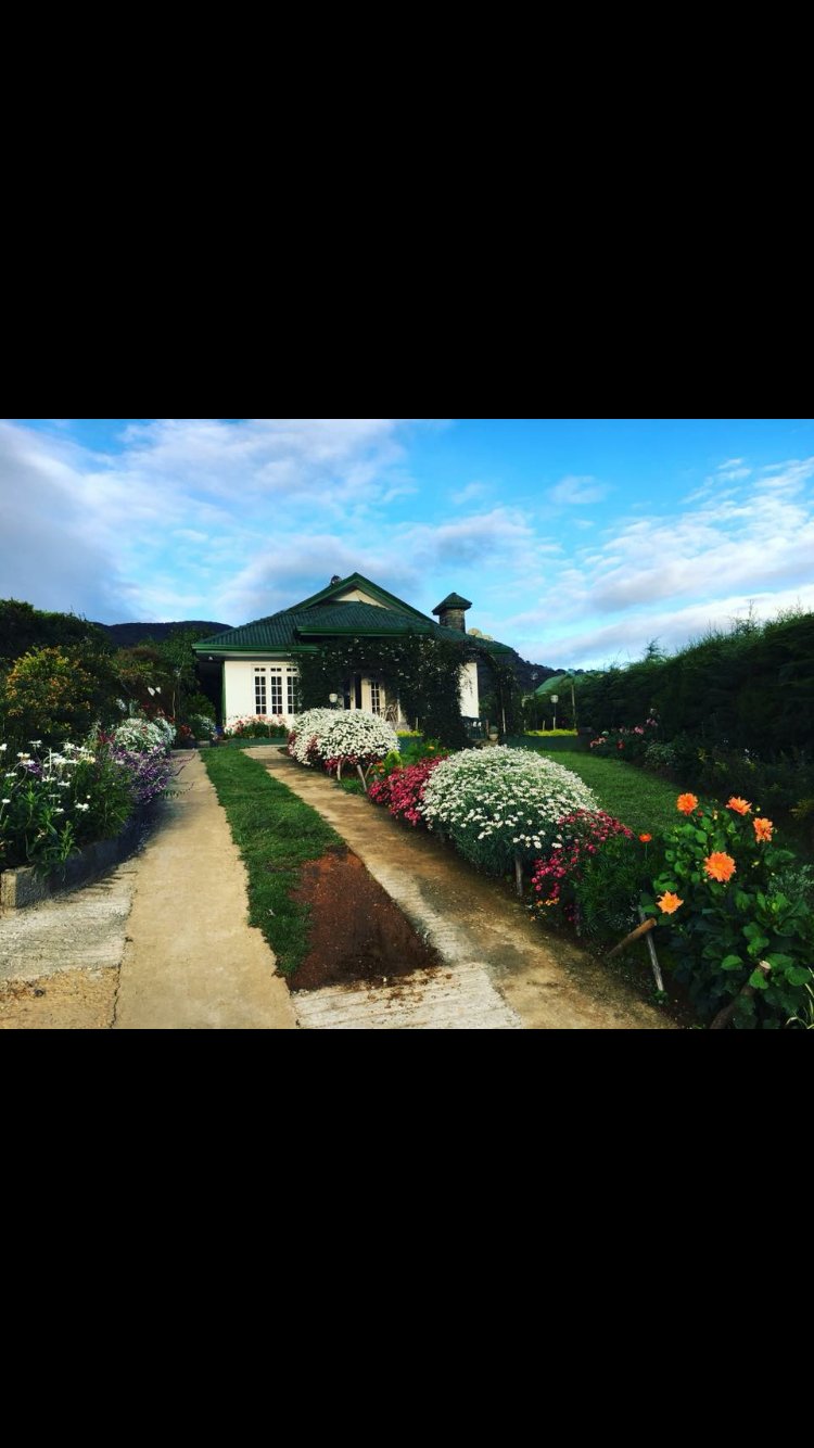 Royal Terrace Holiday Bungalow-浴室