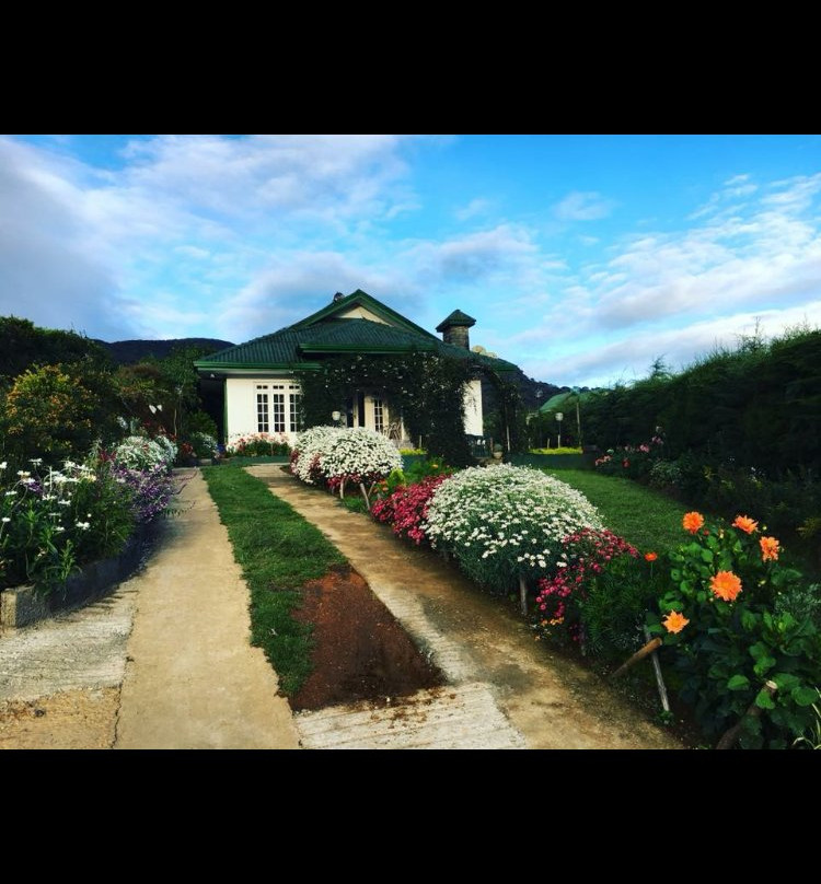 Royal Terrace Holiday Bungalow主图