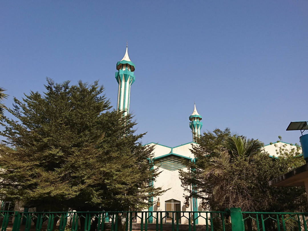 Bamako Grand Mosque-巴马科必去景点