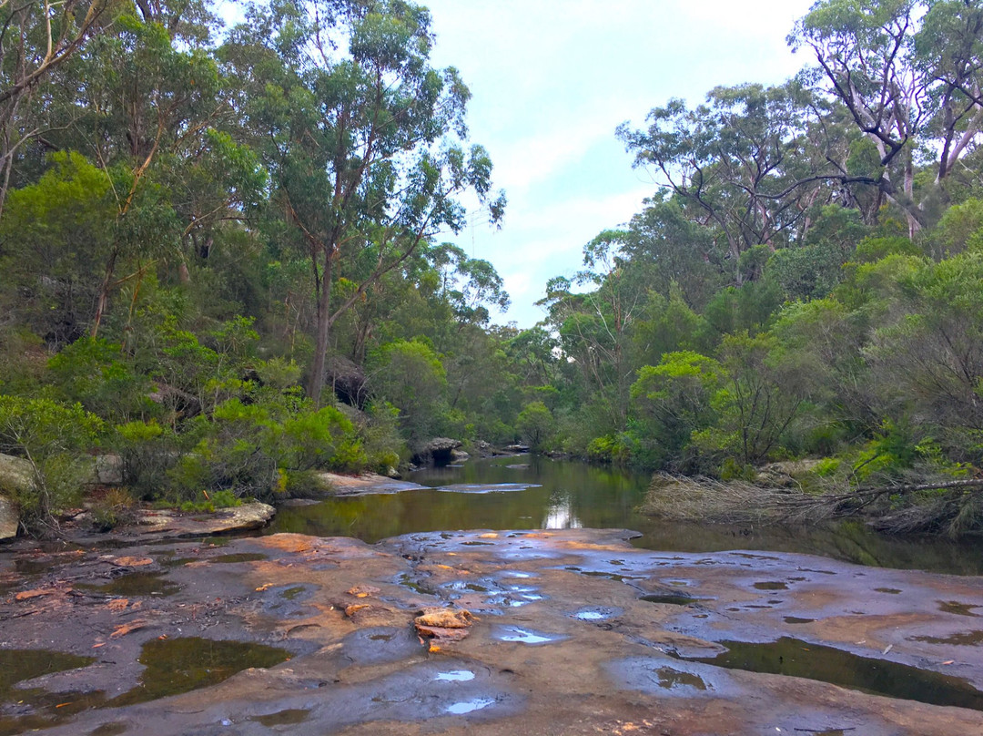 Karloo Pools-Royal National Park必去景点