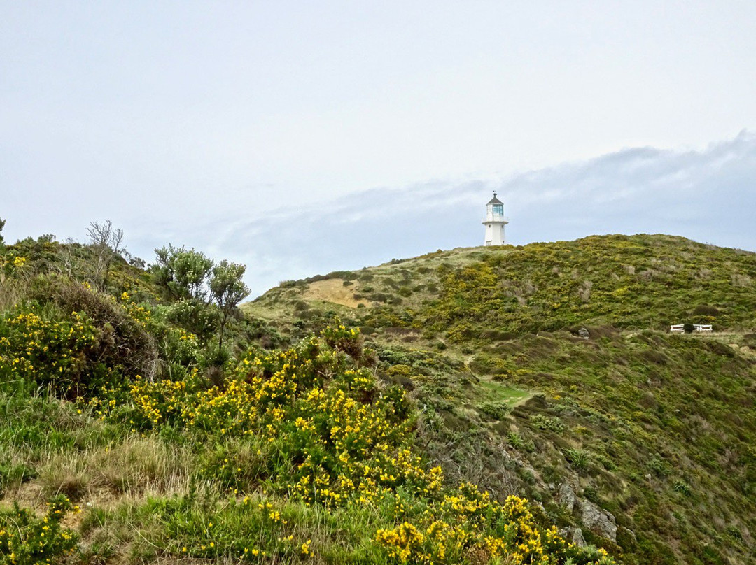 Pencarrow Coastal Trail景点图片