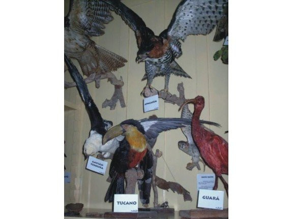 Frei Miguel Museum景点图片