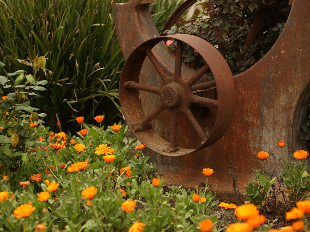 California Agriculture Museum景点图片
