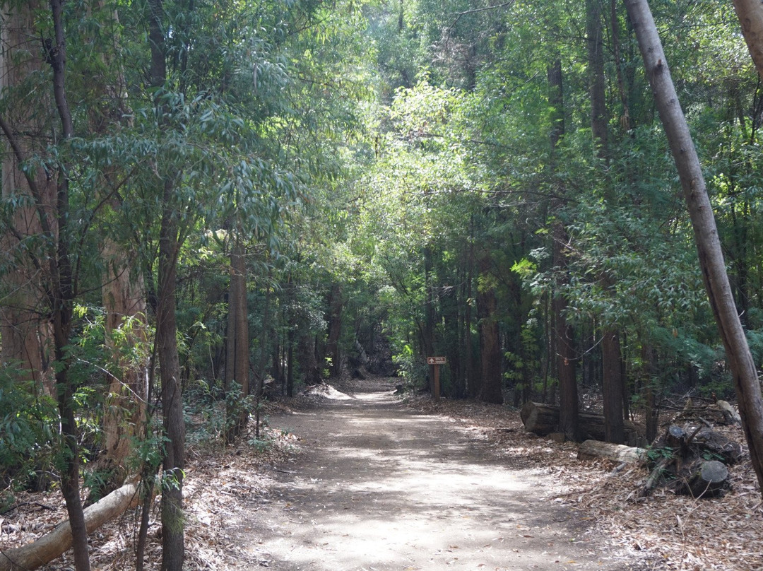 Llico旅游攻略图片