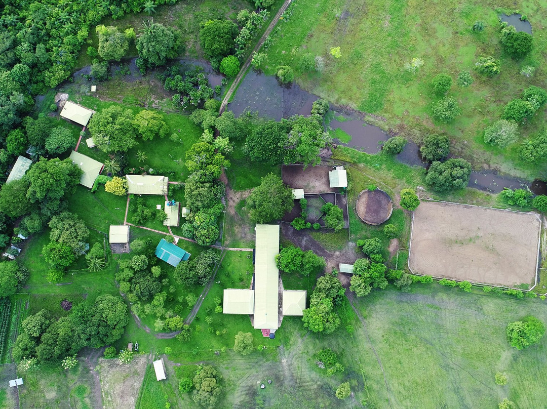 Reserva Natural La Palmita - Hotel