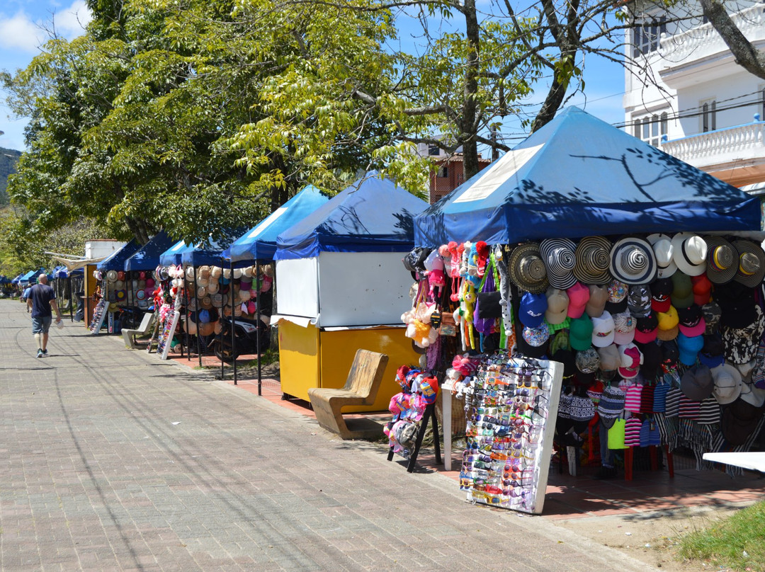 Hotel Las Araucarias主图