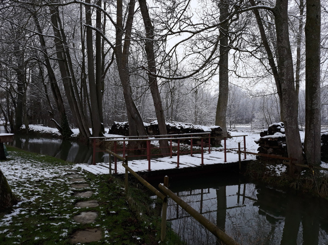 Les Chambres de mon Moulin主图