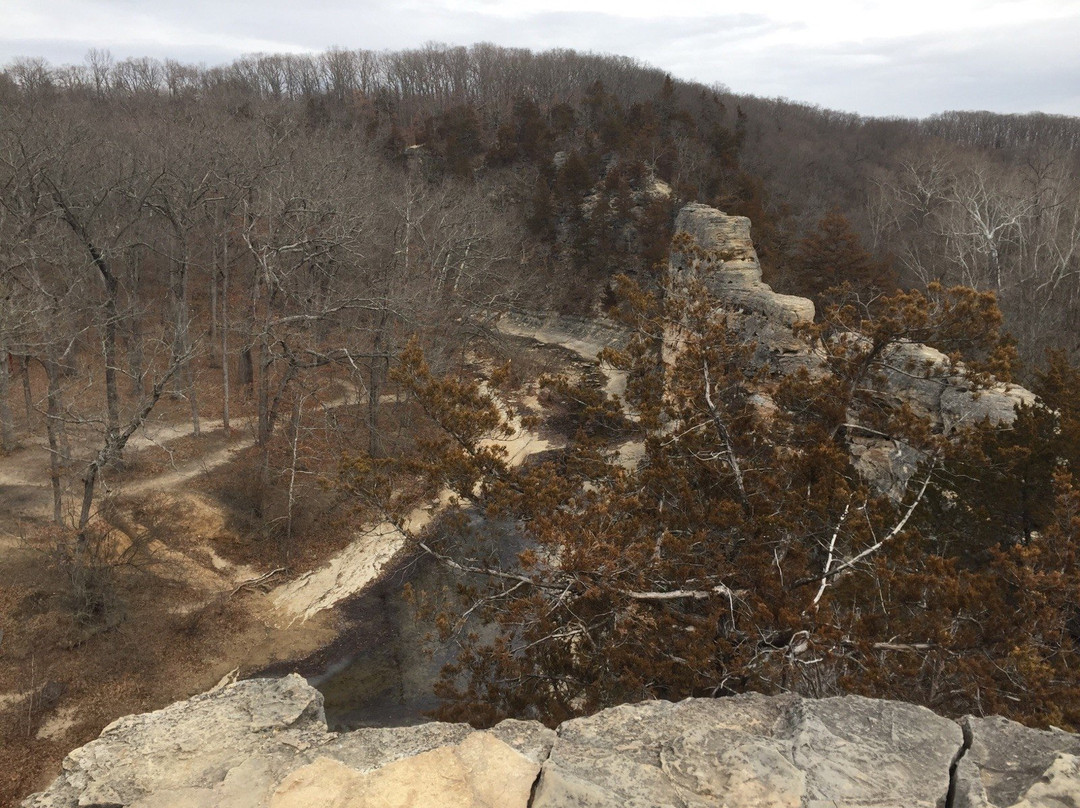 Pinnacles Youth Park-Sturgeon必去景点