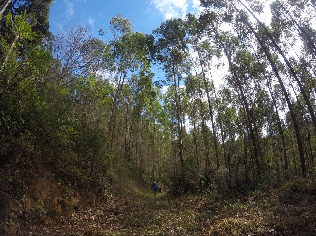Pousada Recanto da Mata主图