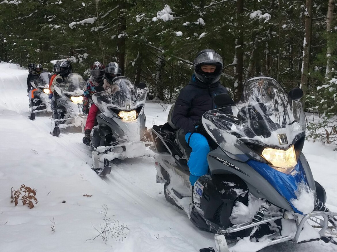 Muskoka Stay N' Play Tours景点图片