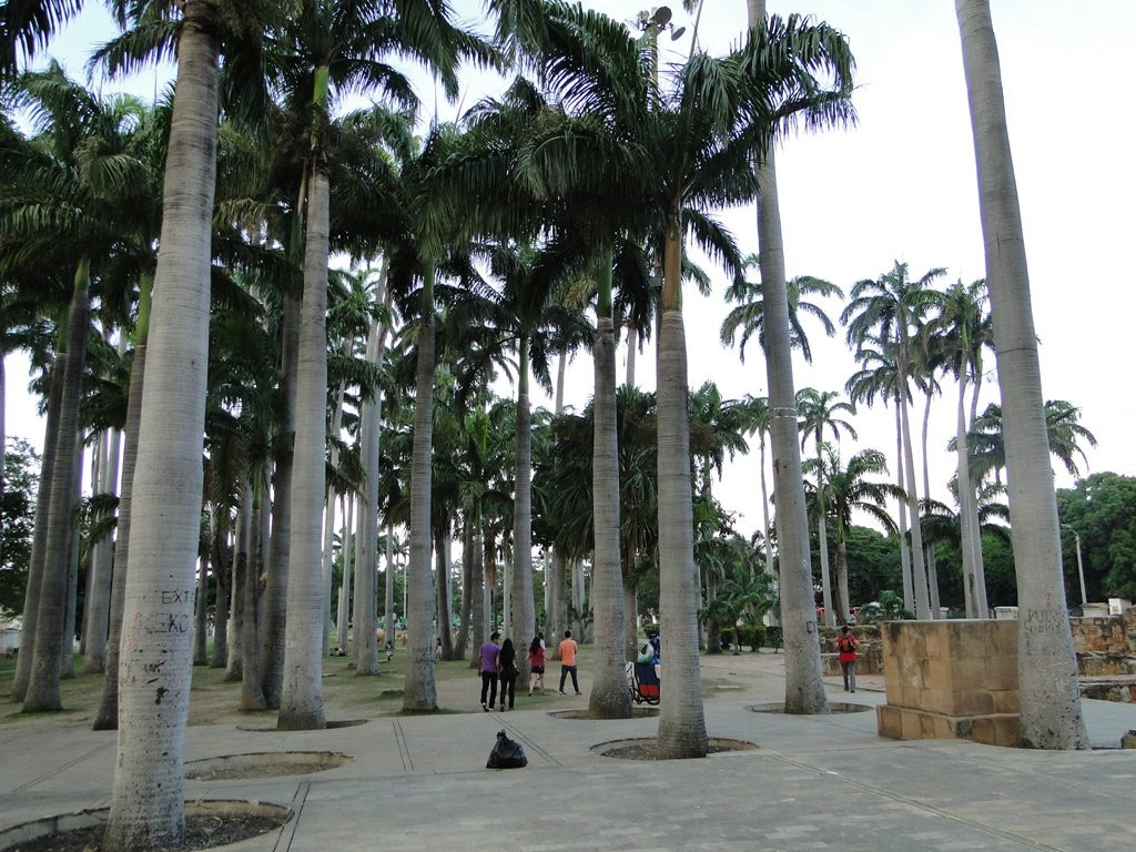 Museo Casa Natal del General Santander景点图片