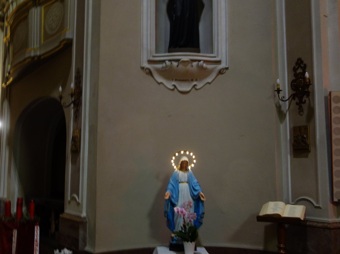 Santuario di Nostra Signora di Lourdes景点图片