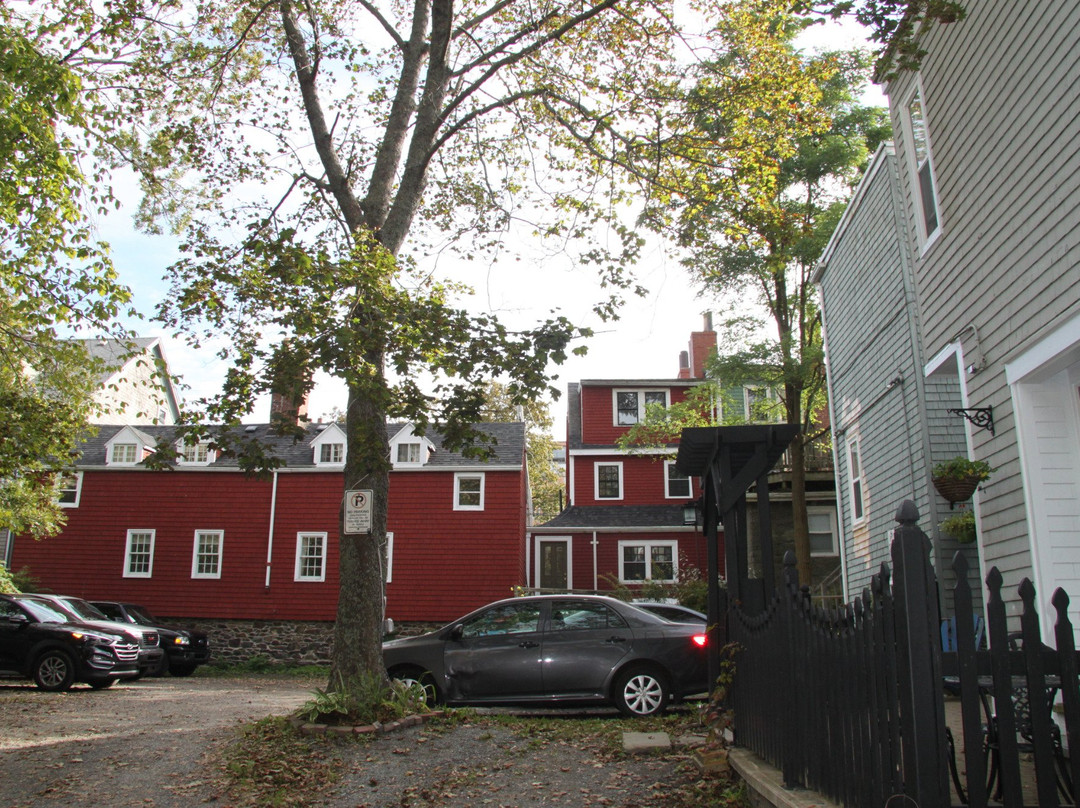 The Novel Stay主图