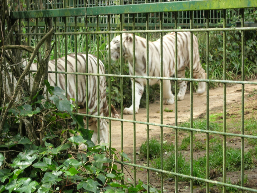 Zoo de Santillana景点图片