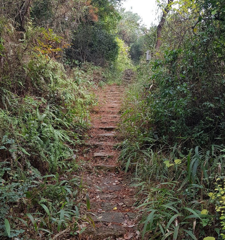 温州杨府山-温州市必去景点