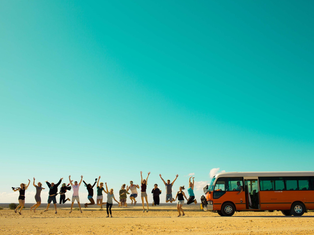 Why Not Bus-珀斯必去景点