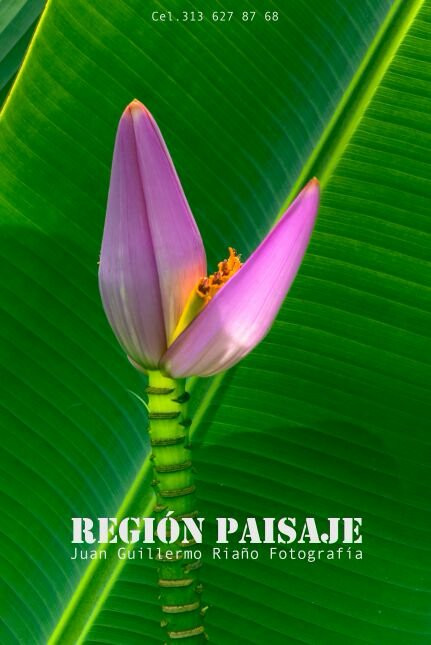 Region Paisaje / Landscape Region-萨伦托必去景点